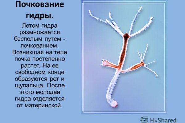 Кракен запрещенные вещества