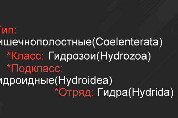 Кракен не работает