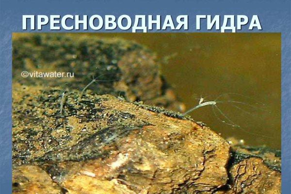 Kraken shop ссылка