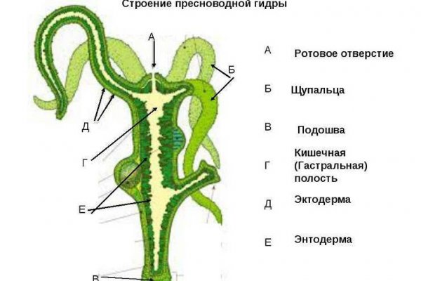 Рабочее зеркало кракен store