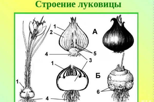 Оригинальная ссылка на магазин кракен