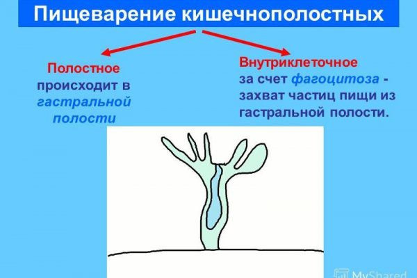 Даркнет каталог