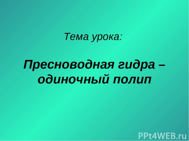 Ссылка на кракен реальная
