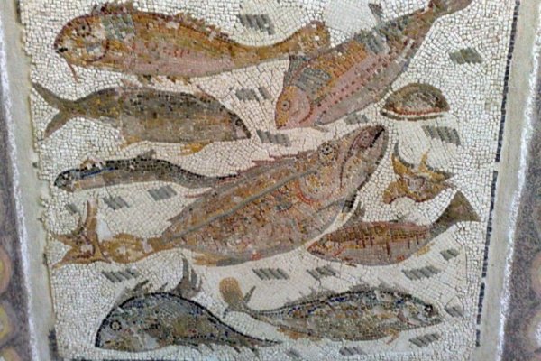 Где купить наркоты