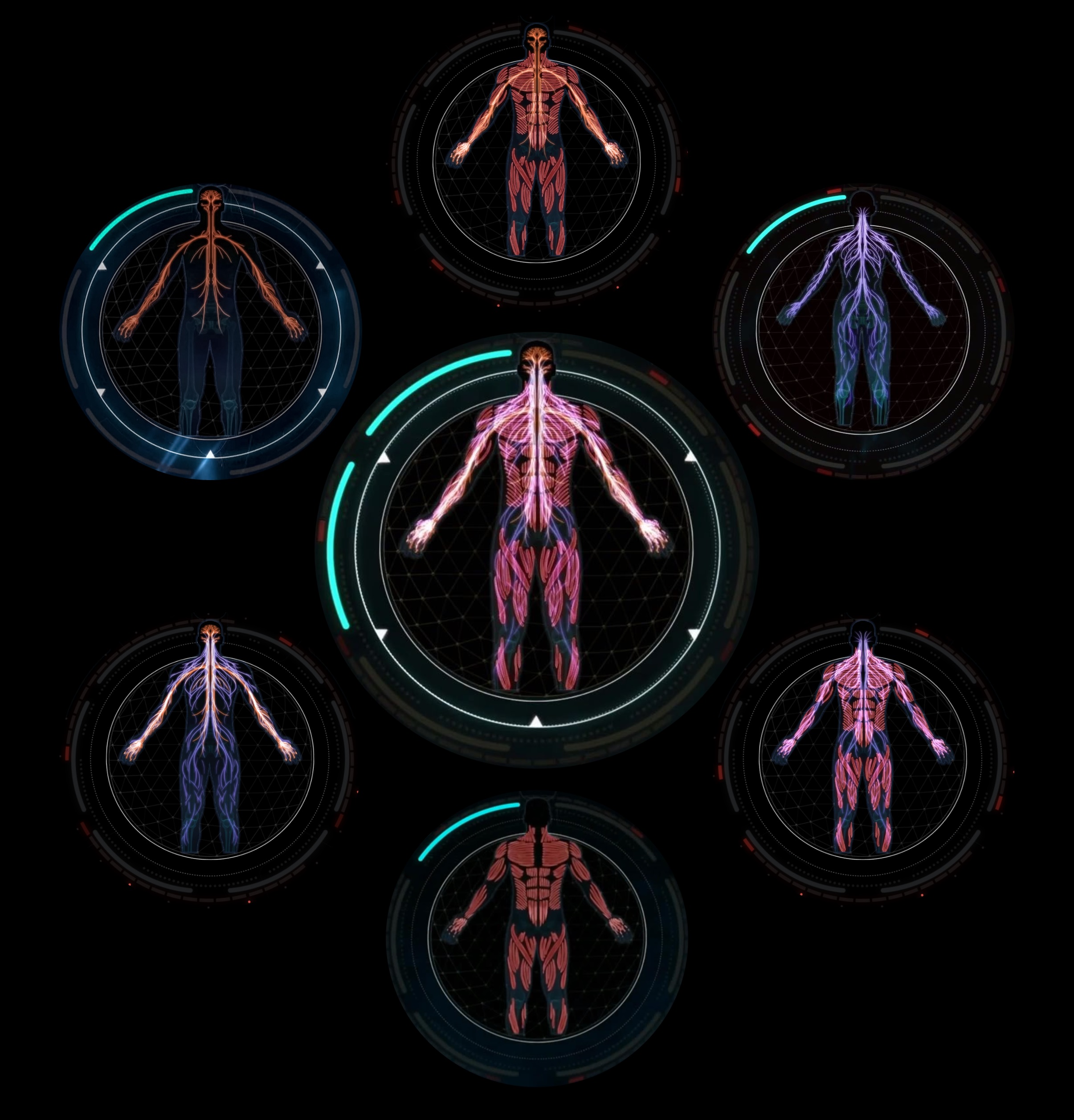 Kraken 24at